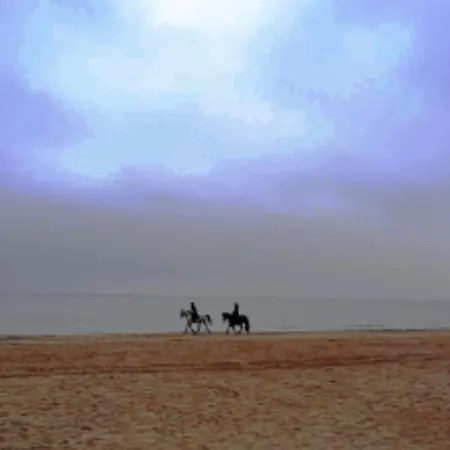 Haus Nemo - 5, Gemuetliches Mit Strandkorb, Strandnah 50 M Daire Heringsdorf