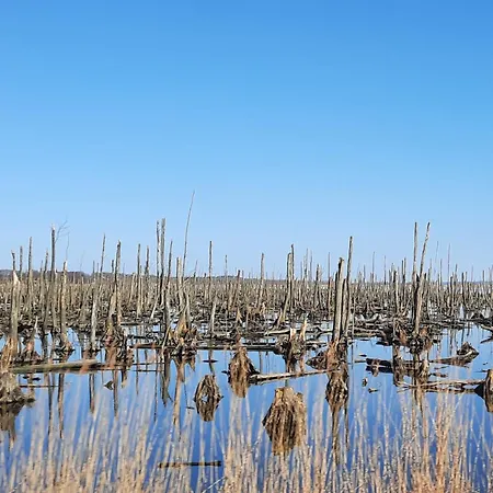 Haus Nemo - 5, Gemuetliches Mit Strandkorb, Strandnah 50 M *
