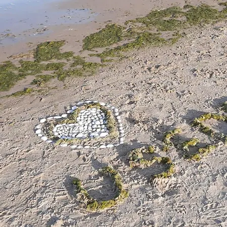 Haus Nemo - 5, Gemuetliches Mit Strandkorb, Strandnah 50 M Daire Heringsdorf